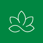 Saatvy logo