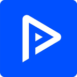 Playment logo