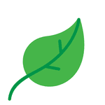 Pashi logo