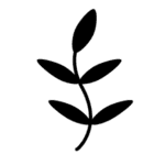 Thyme logo
